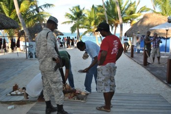TURISMO EN BAVARO