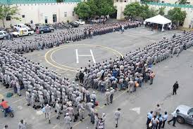 PN DOMINICANA