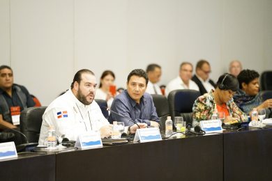 VGC-en-Mexico-390x260